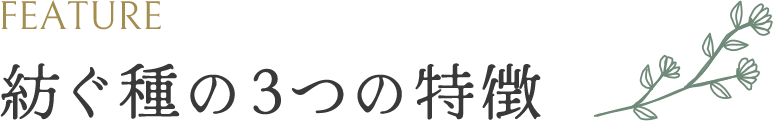 FEATURE 紡ぐ種の3つの特徴